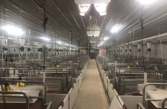 amplificador de sinal est&aacute; instalado na base de reprodu&ccedil;&atilde;o. Cobertura de sinal de &aacute;rea completa